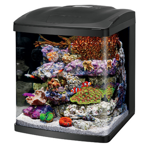 Coralife LED BioCube Freshwater and Saltwater Aquarium