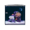 HelloReef Clownfish & Anemone Aquarium Kit