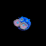 Magician Zoas