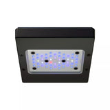 EcoTech Marine Radion XR15 G6 Blue LED Light Fixture